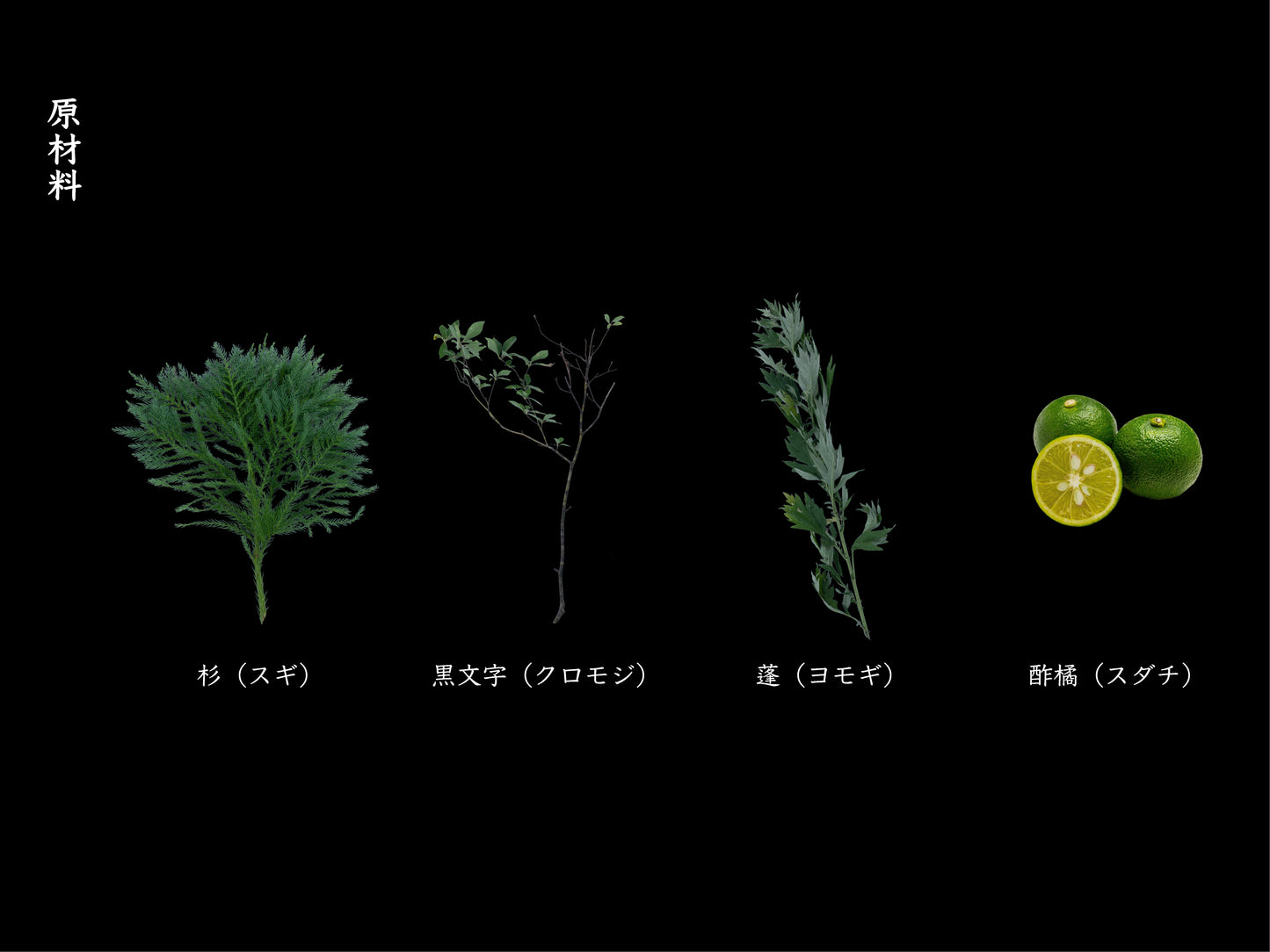 non-alcohol sparkling《杉翳》