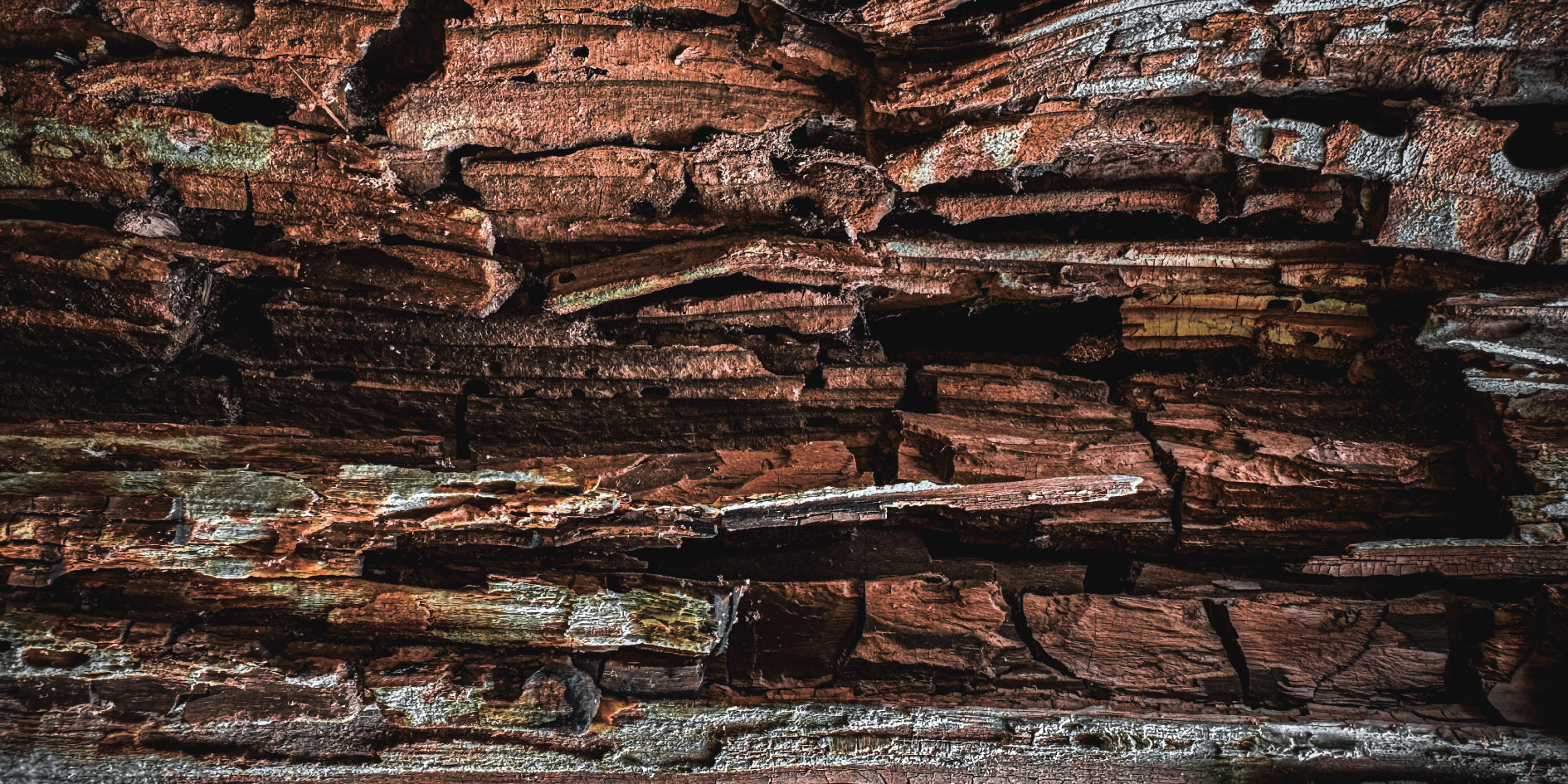 Incense Wood｜日本の香木 – KOBOKU